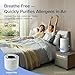 LEVOIT Air Purifier